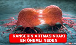 Kanserin Artmasındaki En Önemli Neden