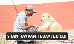 Geçici Hayvan Bakımevi ve Rehabilitasyon Merkezi'nde 9 Bin Hayvan Tedavi Edildi