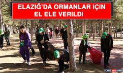 Elazığ’da Ormanlar İçin El Ele Verildi