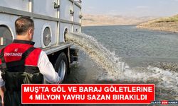 Muş'ta Göl Ve Baraj Göletlerine 4 Milyon Yavru Sazan Bırakıldı