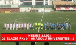 Nesine 3. Lig: 23 Elazığ FK: 0 - Anadolu Üniversitesi: 2