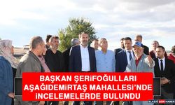 Başkan Şerifoğulları, Aşağıdemirtaş Mahallesi’nde İncelemelerde Bulundu