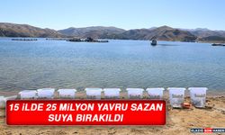 15 İlde 25 Milyon Yavru Sazan Suya Bırakıldı