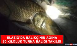 Elazığ’da Balıkçının Ağına 30 Kiloluk Turna Balığı Takıldı