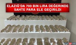 Elazığ’da 700 Bin Lira Değerinde Sahte Para Ele Geçirildi