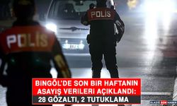 Bingöl’de Son Bir Haftanın Asayiş Verileri Açıklandı: 28 Gözaltı, 2 Tutuklama