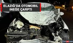 Elazığ’da Otomobil İneğe Çarptı