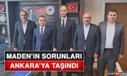 Maden’in Sorunları Ankara’ya Taşındı