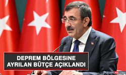 Deprem Bölgesine Ayrılan Bütçe Açıklandı