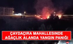 Çaydaçıra Mahallesinde Ağaçlık Alanda Yangın Paniği