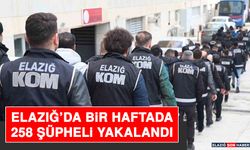 Elazığ’da Bir Haftada 258 Şüpheli Yakalandı