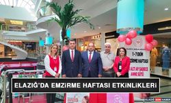 Elazığ'da Emzirme Haftası Etkinlikleri