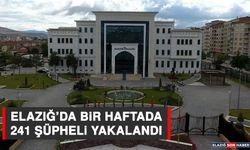 Elazığ’da Bir Haftada 241 Şüpheli Yakalandı