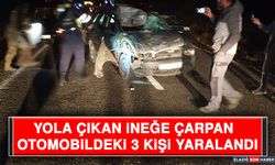 Yola Çıkan İneğe Çarpan Otomobildeki 3 Kişi Yaralandı