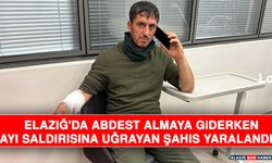 Elazığ'da Abdest Almaya Giderken Ayı Saldırısına Uğrayan Şahıs Yaralandı