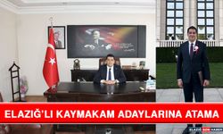 Elazığlı Kaymakam Adaylarına Atama