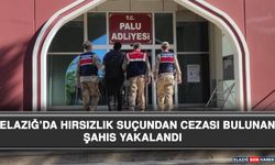 Elazığ’da Hırsızlık Suçundan Cezası Bulunan Şahıs Yakalandı