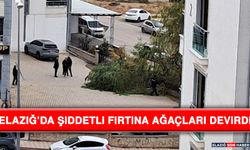 Elazığ’da Şiddetli Fırtına Ağaçları Devirdi