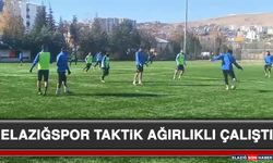 Elazığspor Taktik Ağırlıklı Çalıştı