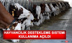 Hayvancılık Destekleme Sistemi Kullanıma Açıldı