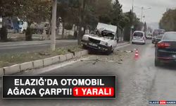 Elazığ’da Otomobil Ağaca Çarptı: 1 Yaralı