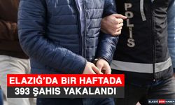 Elazığ’da Bir Haftada 393 Şahıs Yakalandı