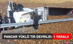 Pancar Yüklü Tır Devrildi: 1 Yaralı