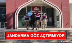 Jandarma Göz Açtırmıyor