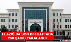 Elazığ’da Son Bir Haftada 250 Şahıs Yakalandı