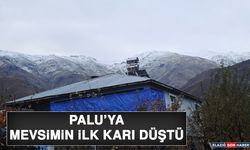 Palu'ya Mevsimin İlk Karı Düştü