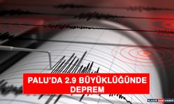 Palu’da 2.9 Büyüklüğünde Deprem