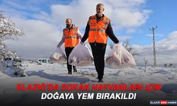 Elazığ'da Sokak Hayvanları İçin Doğaya Yem Bırakıldı