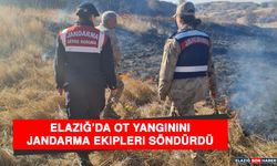 Elazığ’da Ot Yangınını Jandarma Ekipleri Söndürdü