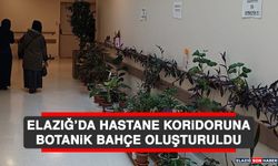 Elazığ’da Hastane Koridoruna Botanik Bahçe Oluşturuldu