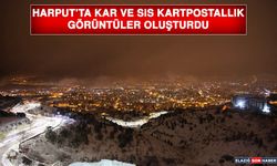 Harput’ta Kar ve Sis Kartpostallık Görüntüler Oluşturdu