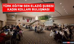 Türk Eğitim Sen Elazığ Şubesi Kadın Kolları Buluşması