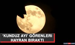 ‘Kunduz Ayı’ Görenleri Hayran Bıraktı