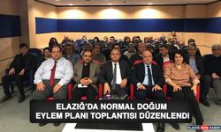 Elazığ’da Normal Doğum Eylem Planı Toplantısı Düzenlendi