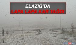 Elazığ'da Lapa Lapa Kar Yağdı