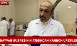 Hayvan Gübresinin Atığından Karbon Üretildi