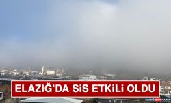 Elazığ’da Sis Etkili Oldu