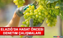 Elazığ’da Hasat Öncesi Denetim Çalışmaları