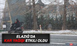 Elazığ’da Kar Yağışı Etkili Oldu