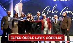 Elfed Ödüle Layık Görüldü