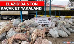 Elazığ’da 5 Ton Kaçak Et Yakalandı