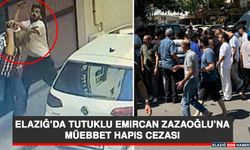 Elazığ’da Tutuklu Emircan Zazaoğlu’na Müebbet Hapis Cezası