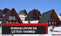 Bungalovun da Çetesi Varmış!