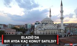 Elazığ’da Bir Ayda Kaç Konut Satıldı?