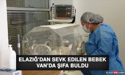 Elazığ'dan Sevk Edilen Bebek Van'da Şifa Buldu