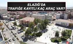 Elazığ’da Trafiğe Kayıtlı Kaç  Araç Var?